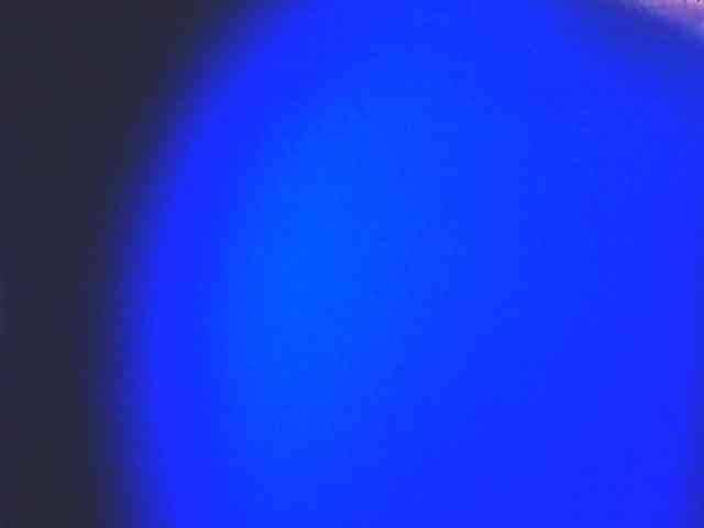 HornyNica webcam