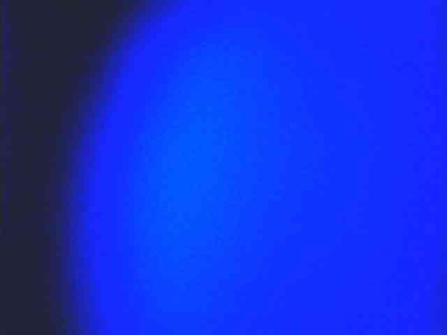 HornyNica webcam