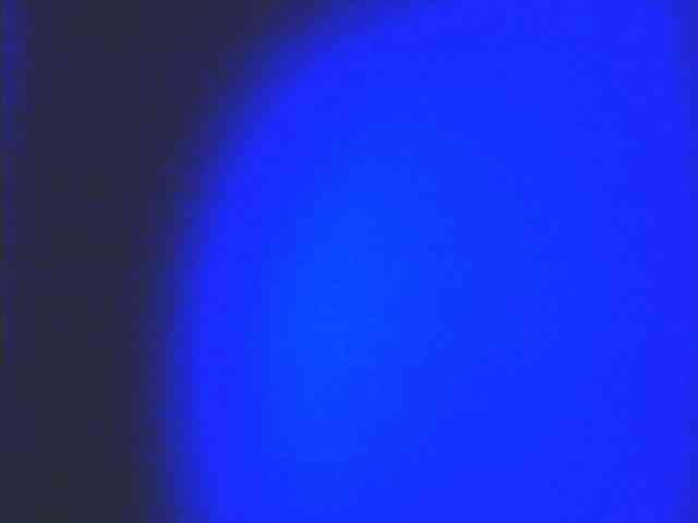 HornyNica webcam