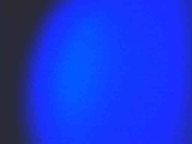 HornyNica webcam