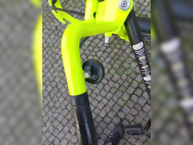 diana-oakes-CZ