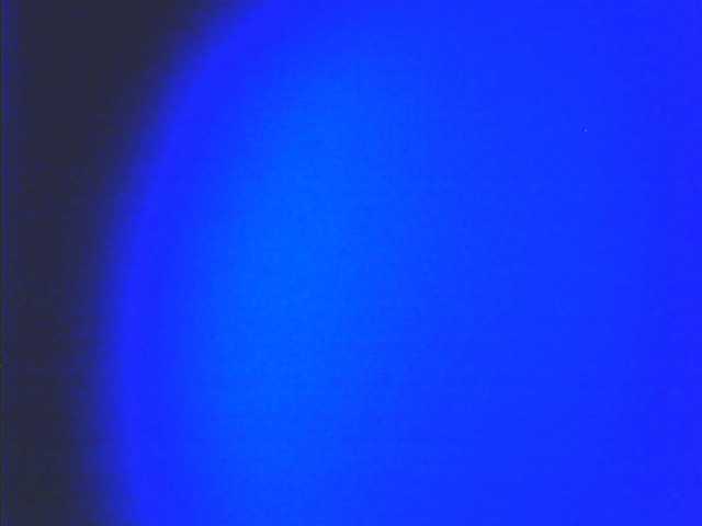 Preview of lovelyshantal