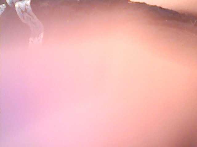 Preview of lovelyshantal