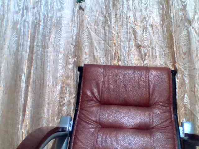 lovelyshantal webcam