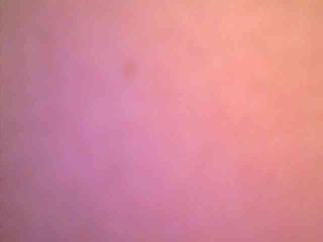 lovelyshantal webcam