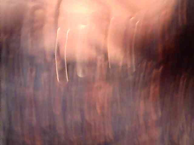 lovelyshantal webcam