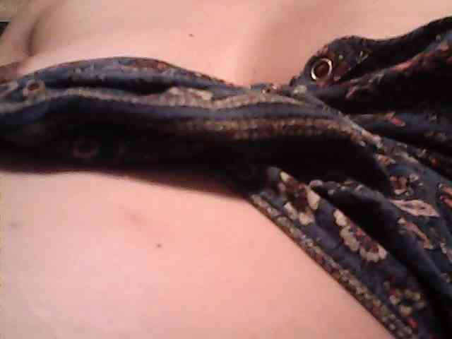 lovelyshantal webcam