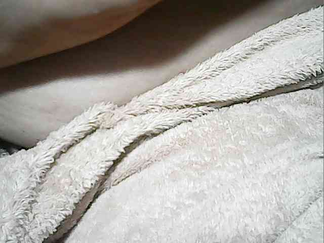 lovelyshantal webcam