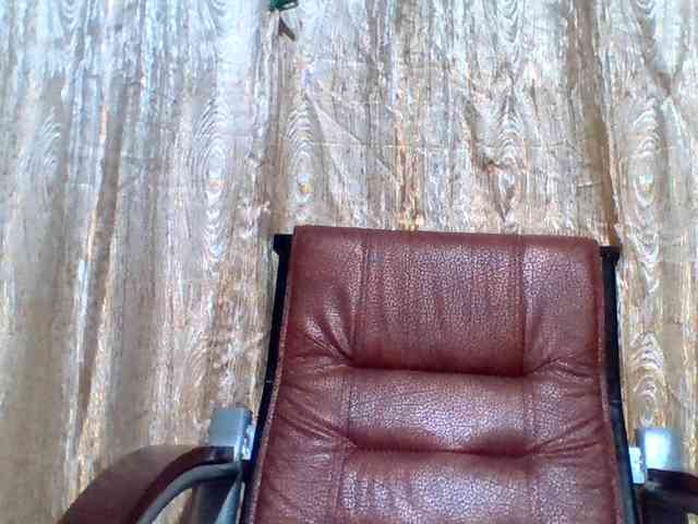 lovelyshantal webcam