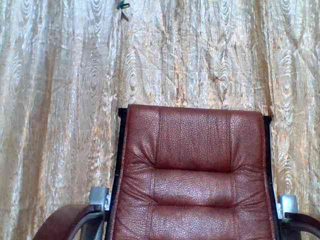 lovelyshantal webcam