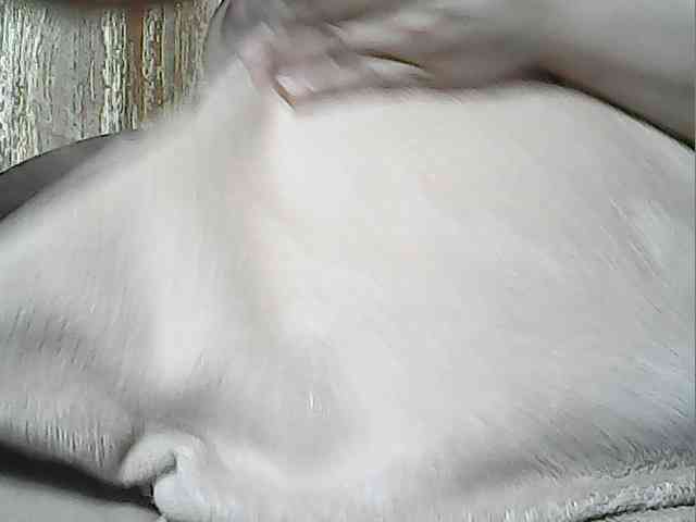 lovelyshantal webcam