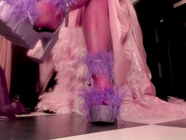 miss-asmodeus