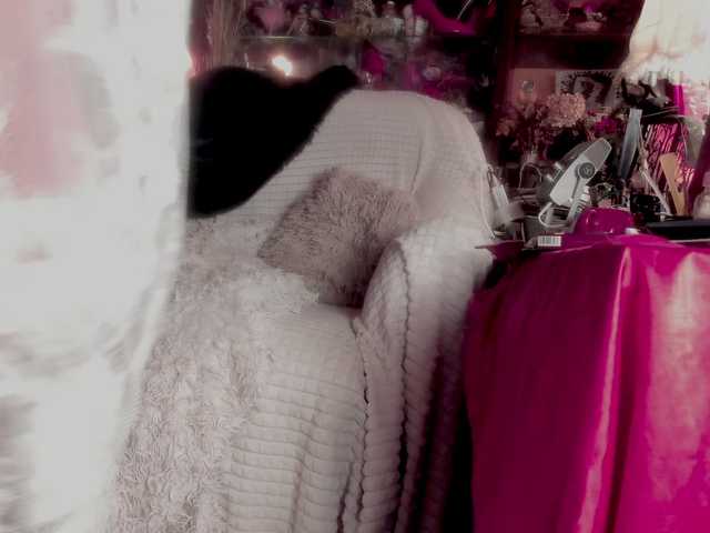 miss-asmodeus