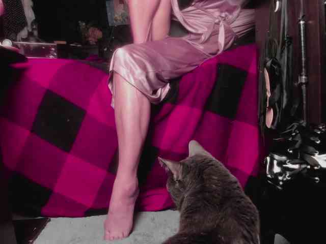 miss-asmodeus webcam