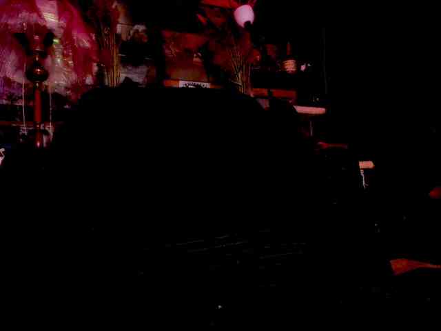 miss-asmodeus webcam