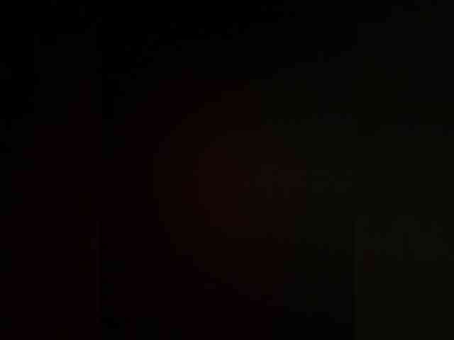 Lilii800