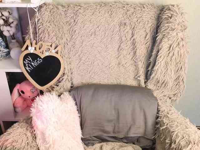 plushsara webcam