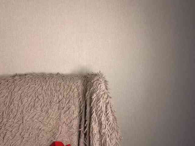 plushsara webcam