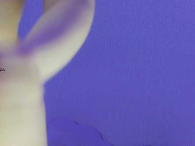 Hator live cam on BongaCams