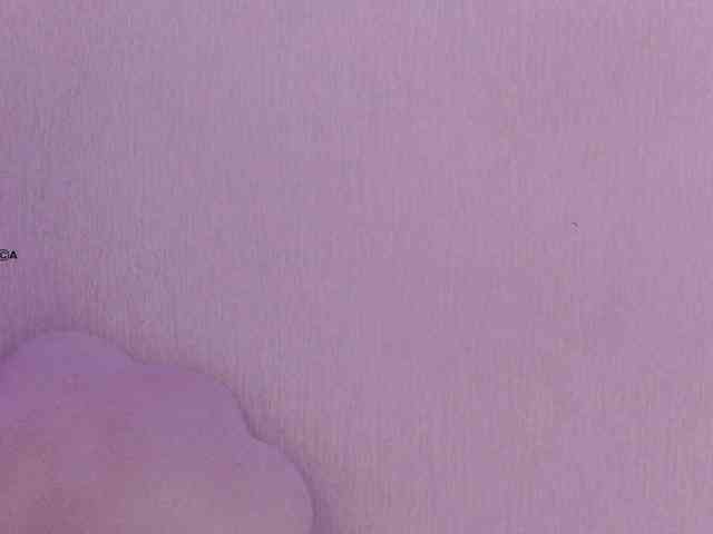 Hator webcam