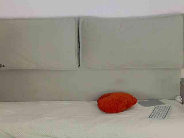 Hator webcam