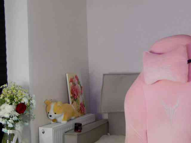 Hator webcam