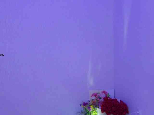 Hator webcam