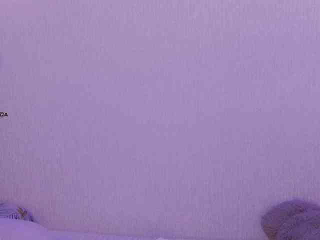 Hator webcam