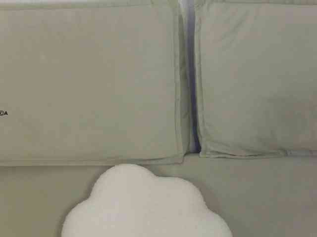 Hator webcam