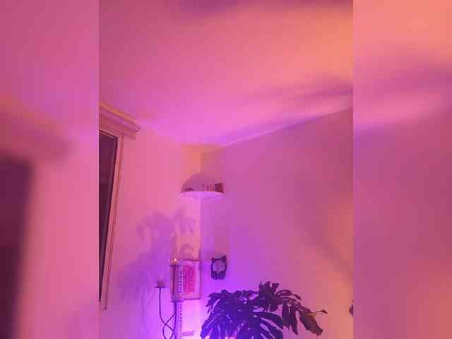 AngelRouse webcam