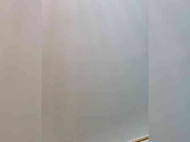 AngelRouse webcam
