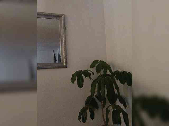 AngelRouse webcam