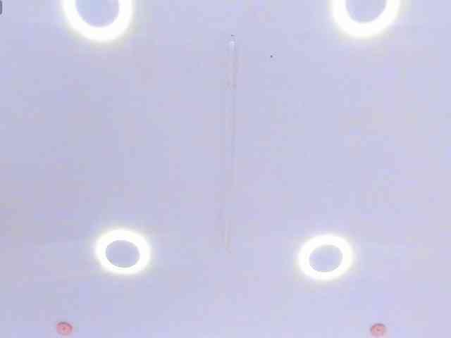 AngelRouse webcam