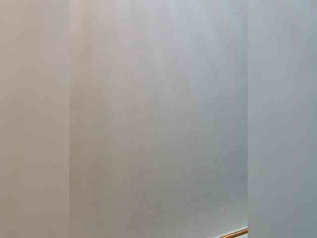 AngelRouse webcam