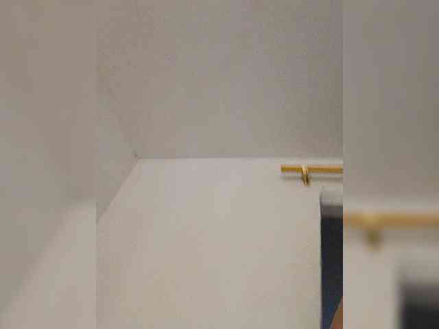 AngelRouse webcam