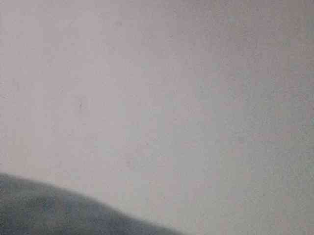 AngelRouse webcam