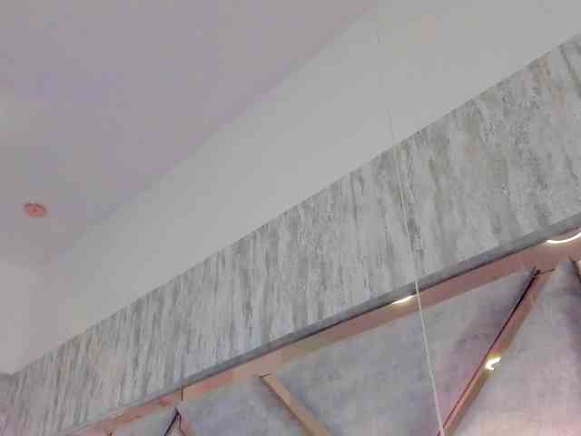 AngelRouse webcam