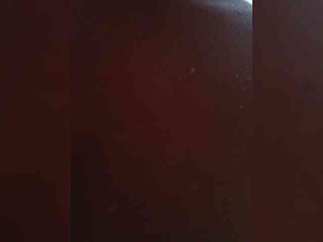AngelRouse webcam