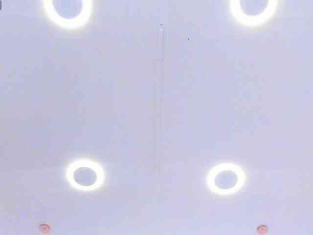 AngelRouse webcam
