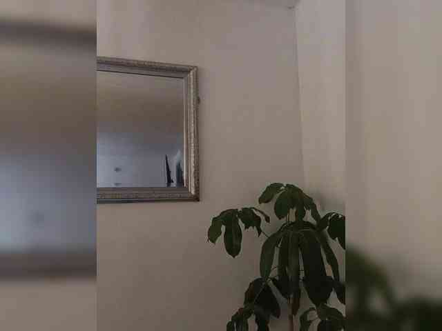 AngelRouse webcam