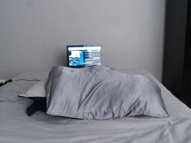 Preview of saracirce