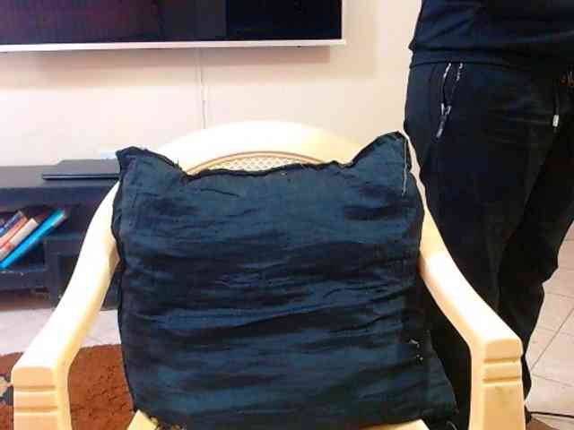 Dalia70 webcam