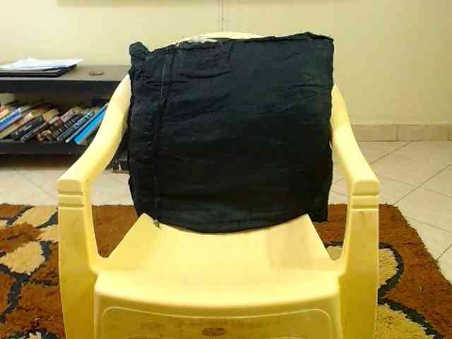 Dalia70 webcam