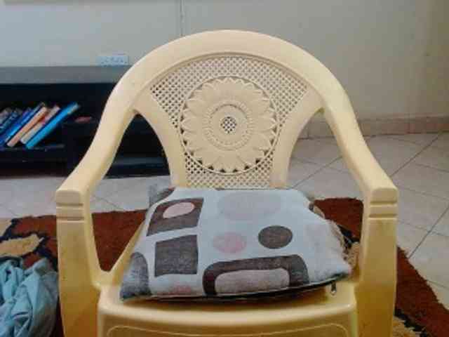 Dalia70 webcam
