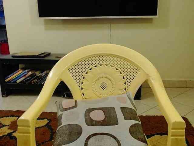 Dalia70 webcam