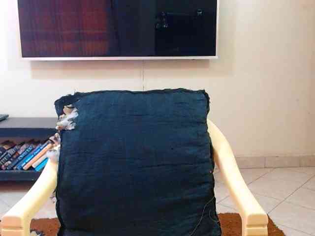 Dalia70 webcam