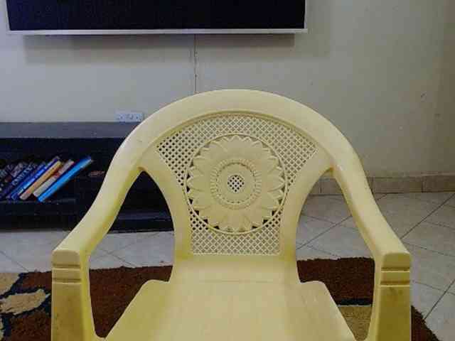 Dalia70 webcam