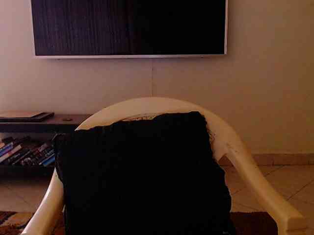 Dalia70 webcam