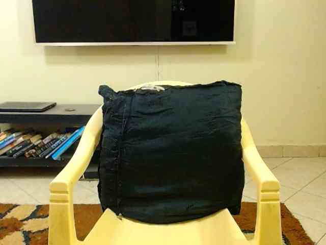 Dalia70 webcam