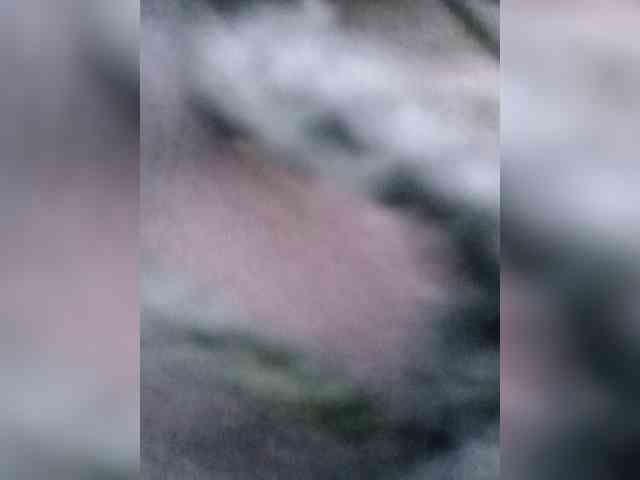 Dalia70 webcam